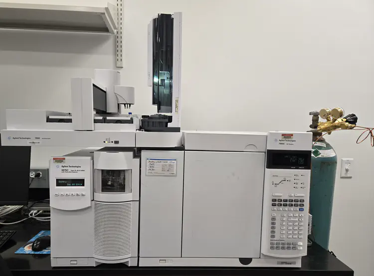 GC-MS Agilent 5975
