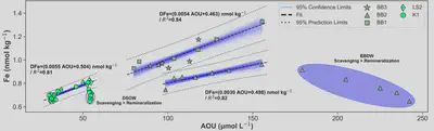 The positive correlation between apparent oxygen utilization (AOU) and dissolved Fe (dFe) concentrations in intermediate water depth in Baffin Bay and the Labrador Sea evidence the input of this important micronutrient as result of organic matter degradation by microbial activity. On the contrary, at greater depths, scavenging removal overpass remineralization inputs as shown in the dFe vs. AOU relationship for Baffin Bay Deep Waters (BBDW) and Denmark Strait Overflow Waters (DSOW).