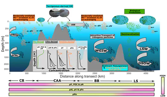 Coastal and Ocean Processes