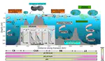 Coastal and Ocean Processes