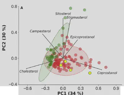 In this Principal Component Analysis of Prochilodus lineatus muscle sterol composition, the population of detritivorous fishes feeding predominantly in the proximities of the polluted Buenos Aires city (red) are clearly differentiated from those fishes feeding in the northern tributary rivers (green; less polluted). Buenos Aires fishes have higher concentrations of fecal sterols (e.g., coprostanol, epicoprostanol) compared to those sampled in the tributary rivers, which have a dominance of plant sterols (e.g., sitosterol, campesterol), and thus, reflect a more “natural” diet. 