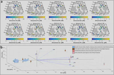 For instance, the TE signature of small permafrost dominated rivers in the Canadian Arctic Archipelago is strongly dominated by North to South gradients in environmental conditions as the development of permafrost soils and vegetation, soil organic carbon content, river discharge, and permafrost active layer thickness. Additionally, the bedrock geology of their respective drainage basins also contributes to the TE signature.